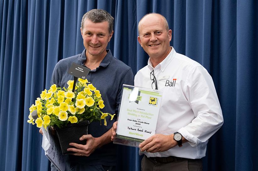Best bedding and pot plant: Ball's Petunia Bee's Knees